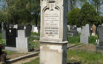 Надгробни споменик Василија Живковића